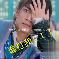 陈晓古装电视剧搞笑表情包免费分享