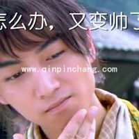 陈晓古装电视剧搞笑表情包免费分享