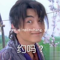 陈晓古装电视剧搞笑表情包免费分享