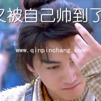 陈晓古装电视剧搞笑表情包免费分享