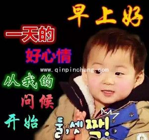 宋民国中老年人专用表情包大全