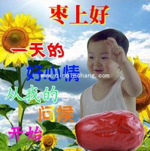 宋民国中老年人专用表情包大全