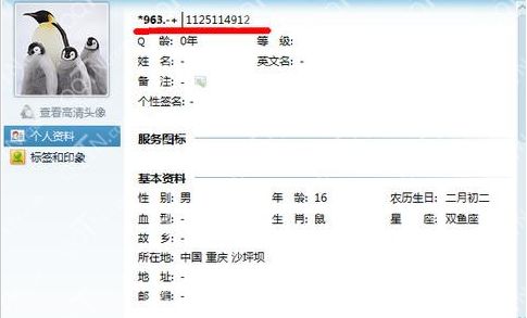 无限申请QQ号的绝招