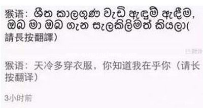 微信猴语怎么玩?