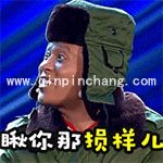 瞅你那损样儿!宋小宝动态表情包