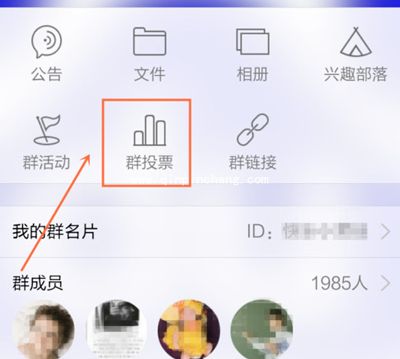 QQ群投票功能在哪里？手机QQ群投票图文教程