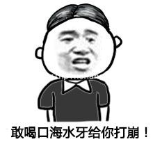 捍卫南海、寸土不让主题表情包