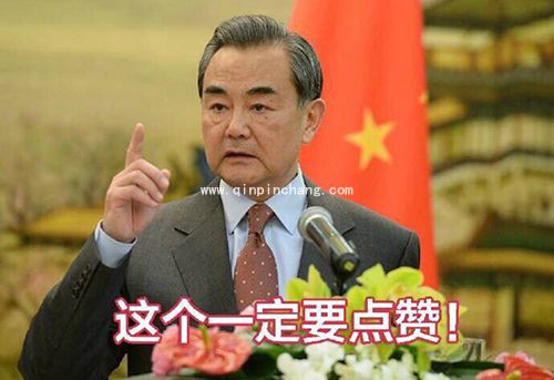 霸气外交部长王毅高清无水印表情包