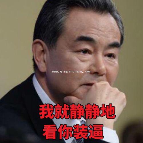 霸气外交部长王毅高清无水印表情包
