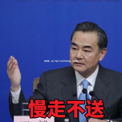 霸气外交部长王毅高清无水印表情包