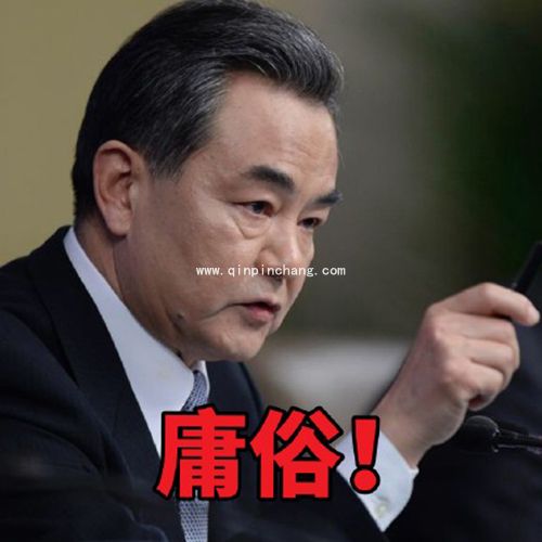 霸气外交部长王毅高清无水印表情包