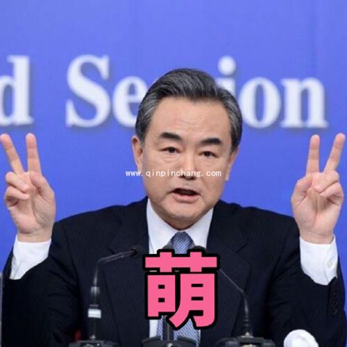 霸气外交部长王毅高清无水印表情包