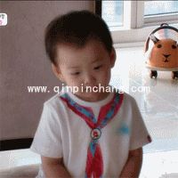 微信QQ聊天必备!宋民国动态gif表情包