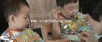 微信QQ聊天必备!宋民国动态gif表情包