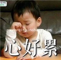 微信QQ聊天必备！宋民国动态gif表情包