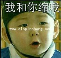 微信QQ聊天必备！宋民国动态gif表情包