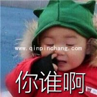 微信QQ聊天必备！宋民国动态gif表情包