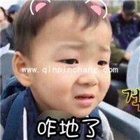 微信QQ聊天必备！宋民国动态gif表情包