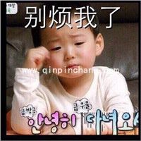 微信QQ聊天必备！宋民国动态gif表情包