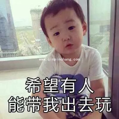 微信QQ聊天必备！宋民国动态gif表情包