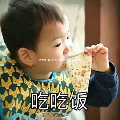 微信QQ聊天必备！宋民国动态gif表情包