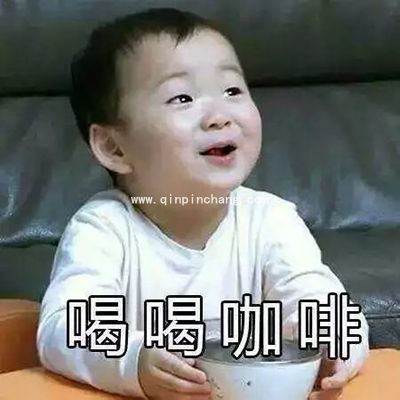 微信QQ聊天必备！宋民国动态gif表情包