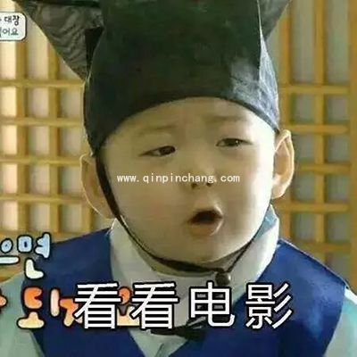 微信QQ聊天必备！宋民国动态gif表情包