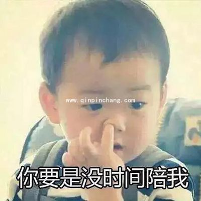 微信QQ聊天必备！宋民国动态gif表情包