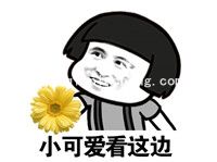 蘑菇头薛之谦表情包