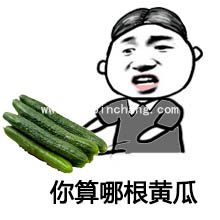 QQ微信表情图之你算老几的8种说法