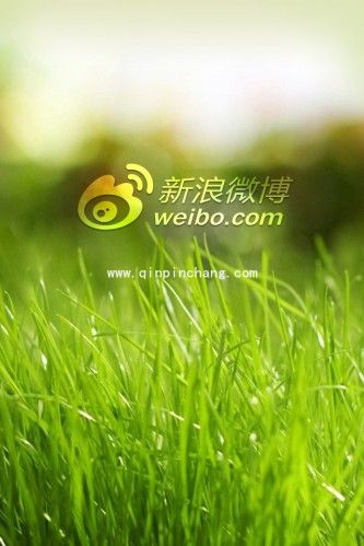 新浪微博在桌面添加插件的技巧