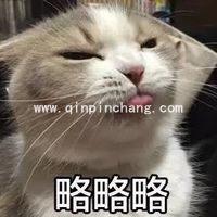 斗图必备！瓜皮猫带字搞笑表情包