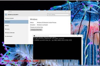 解决Win10系统10122无法激活小技巧