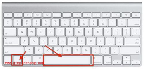 mac强制退出程序方法