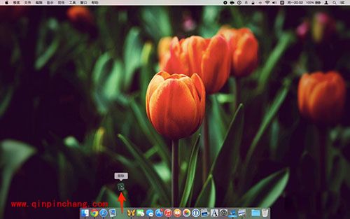 Mac Dock栏使用技巧汇总