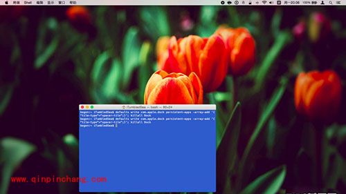 Mac Dock栏使用技巧汇总