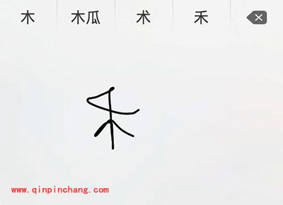 Mac手写输入法怎么使用