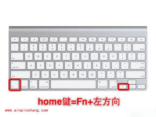 Mac电脑Fn快捷键汇总