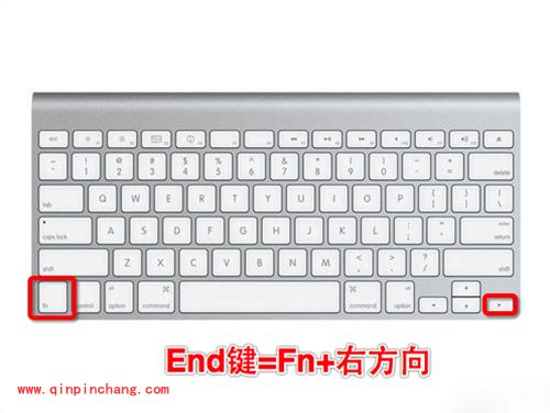 Mac电脑Fn快捷键汇总