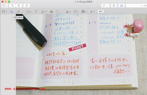 Mac预览功能使用技巧汇总