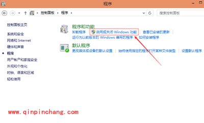 Win10系统卸载IE浏览器教程