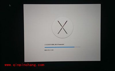 u盘安装mac os X 10.10教程