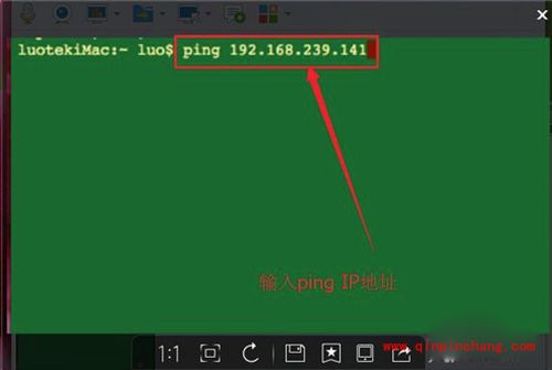 Mac电脑ping命令使用教程