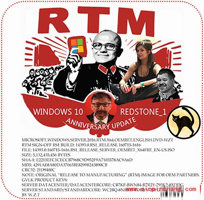 Windows Server 2016 RTM English微软原版镜像的获取方法