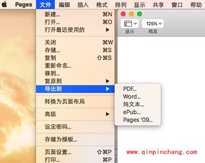 Pages保存为word格式方法