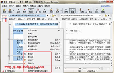 Beyond Compare文本比较相同内容复制方法