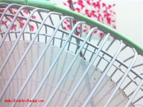 用手机也能拍出背景虚化的照片的小妙招