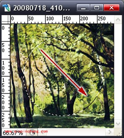 photoshop四种选框工具介绍