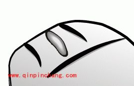 Freehand实例之制作鼠标