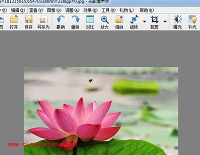 光影魔术手之照片增加柔光特效
